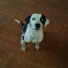 Edna Rossin - @ednarossin_2883 - TikTok