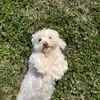 Edna Mae Scott - @edna.scott4 - TikTok