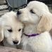 Edna Searson - Facebook