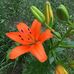 Edna Sherwood - Facebook
