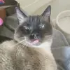 Edna Sterenn - @edna.sterenn - TikTok