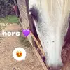 Edna Tump - @edna.tump - TikTok