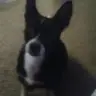 Edna Sue - @ednasue - TikTok