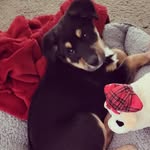 Edna Sue ♡ - @ednas.mixed.world - Instagram