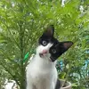 sue_edna - @sue_edna - TikTok