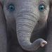 Edna Sullivan - Facebook