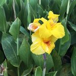 Edna Swanson - @marie.swanson47 - Instagram