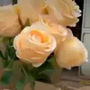 Edna Thomason - @edna.thomason - TikTok