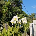 Edna Utleg Parcon - @edna.parcon - Instagram