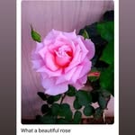 Edna Vance - @vanceedna - Instagram