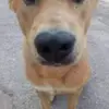 ednavannest1450551 - @ednavannest1450551 - TikTok