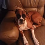 Edna Vaughn - @vaughnedna - Instagram