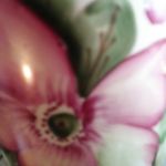 Edna Watkins - @edna.watkins.589 - Instagram
