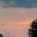 edna williamson - @ednawilliamson1965 - Instagram
