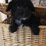 Edna Williamson - @amelie20115 - Instagram