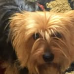 Edna Wolfe - @edna.wolfe.18 - Instagram