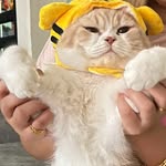 Edna Wong - @e.1104nn - Instagram