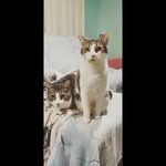 Edna Wong - @ednawjz - Instagram