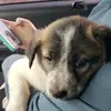 eden.woodruff - @eden.woodruff - TikTok