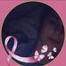 Edna Yoder - Facebook