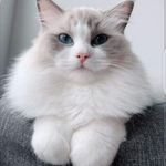 peter sabrirn - @efe.edosa.33 - Instagram