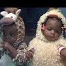 Dedra Bailey - @dedrabailey - TikTok