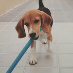 Edric - @edricjames - Instagram