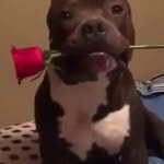 Edric Sanchez Ramirez - @edricsanchezramirez - Instagram