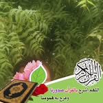 Edris Mohammed - @edrismohammed3 - Instagram