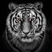 Edsel Tan - Facebook