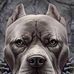 Edson Couto - Facebook