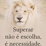 Edson Silveira - @edson.silveira.7186896 - Instagram