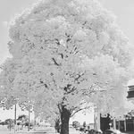 Eduar Rivera - @eduar.rivera.75248 - Instagram
