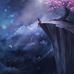 Eduard Anghel - Facebook
