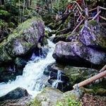 Eduard Maier - @maier.eduard - Instagram