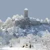 eduardmeyer725 - @eduardmeyer725 - TikTok