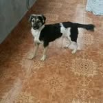 Eduard Pinto - @eduard.pinto.902 - Instagram