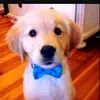 eduard tan - @eduard.tan8 - TikTok