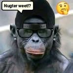 Eduard Thomas - Facebook