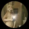 Eduardo Vasquez - @eduardo.vasquez931 - TikTok