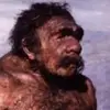 eduardo bacana - @eduardo.bacana - TikTok