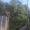 Eduardo Barker - @eduardo.barker1 - TikTok