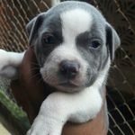 Eduardo Bruce - @eduardobruce1289 - Instagram