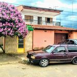Eduardo Soares Capelo - @eduardo_oqsoares - Instagram