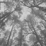 . - @eduardo.carrillo_1 - Instagram