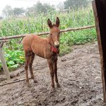 Eduardo Casarez - @eduardo.casarez.5496 - Instagram