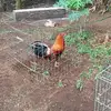 Eduardo Casco - @eduardo.casco50 - TikTok