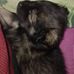 Eduardo Casco - Facebook