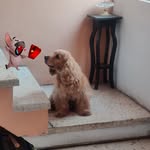Eduardo Cobo - @eduardo.cobo - Instagram