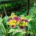 Eduardo Dizon - Facebook